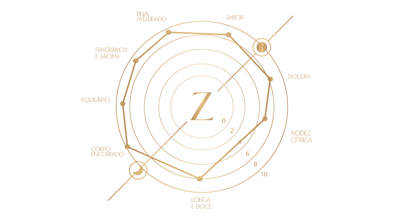 mapa sensorial jupiter