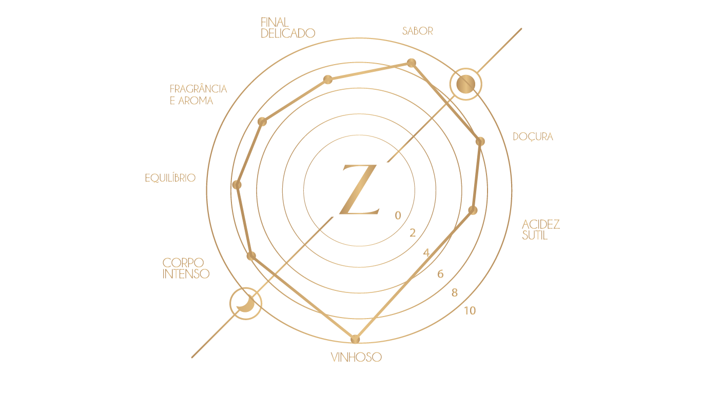 mapa sensorial plutao